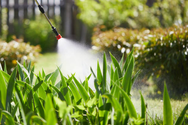 24/7 Emergency Mosquito Control experts in Spotswood, NJ