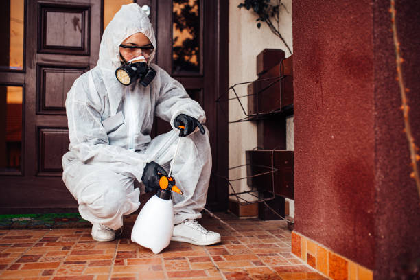 Reliable Mosquito Control contractor in Spotswood, NJ by Show Me Pest Control